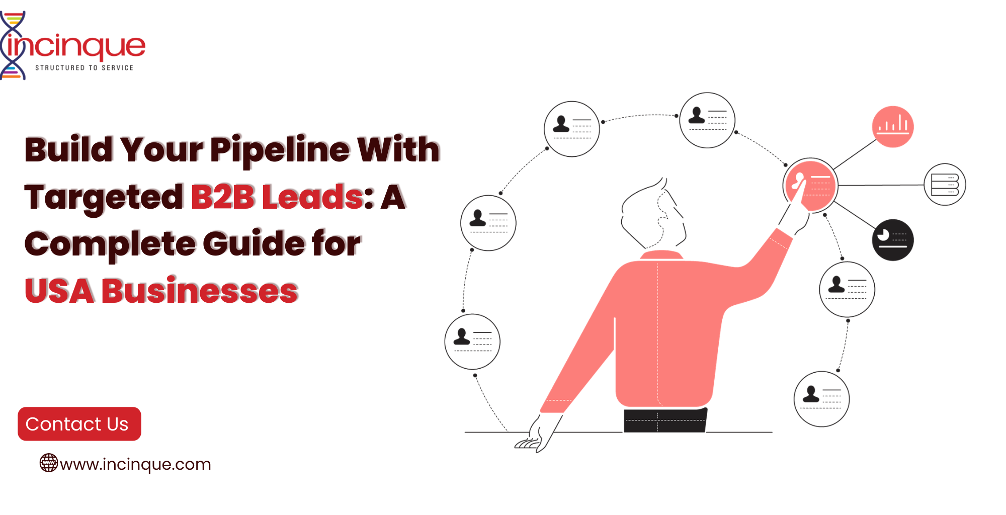 "Build Your Pipeline With Targeted B2B Leads: A Complete Guide for USA Businesses" by Incinque, featuring an illustration of a professional selecting customer profiles.